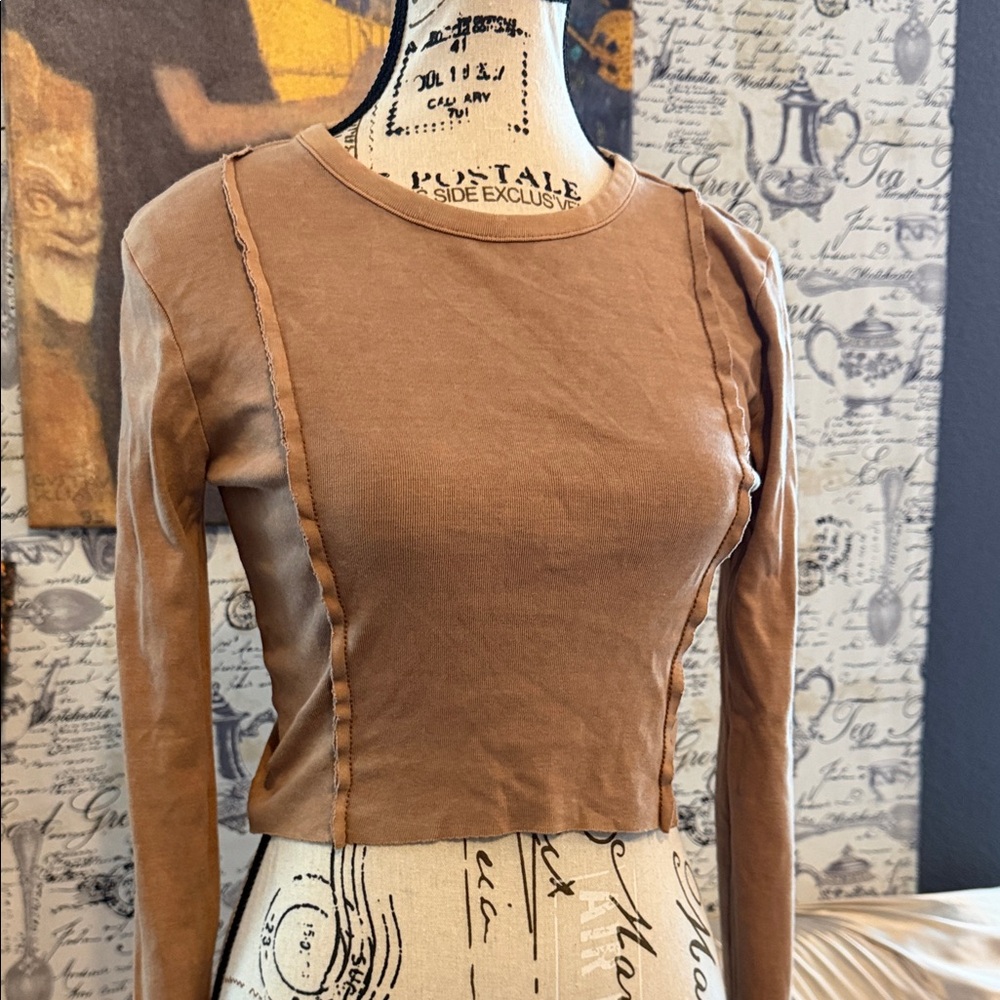 Forever 21 Brown Long Sleeve Crop Top